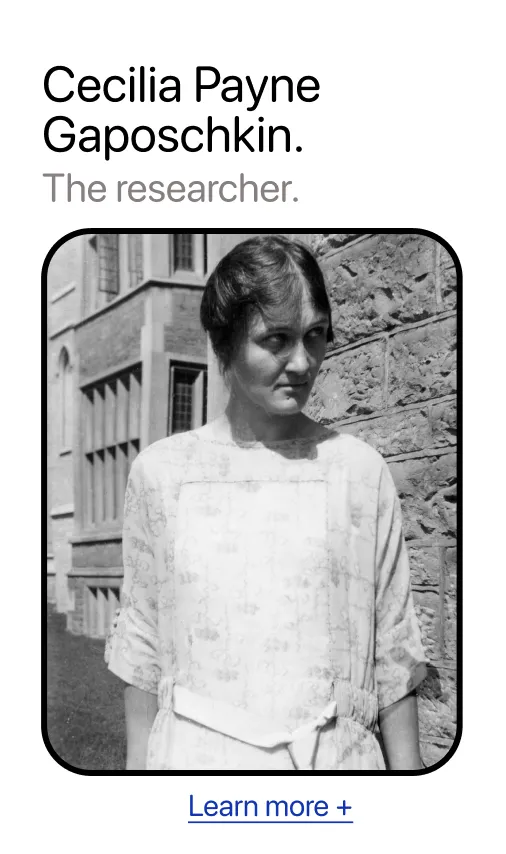 The Researcher
